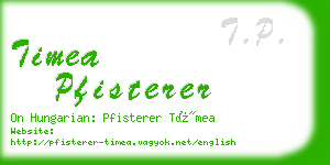 timea pfisterer business card